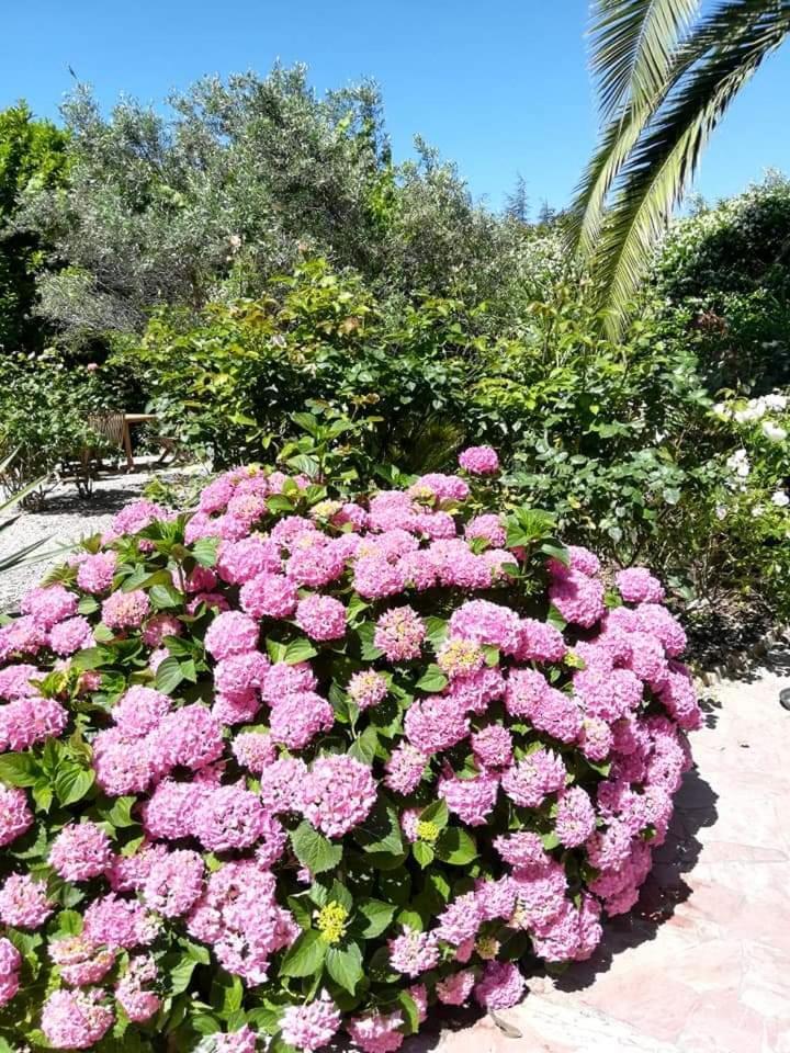 Villa Angel - Spa Caunes-Minervois Екстериор снимка