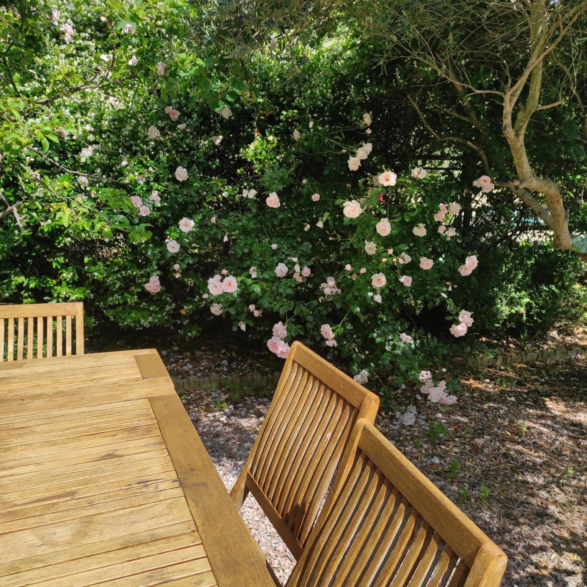 Villa Angel - Spa Caunes-Minervois Екстериор снимка