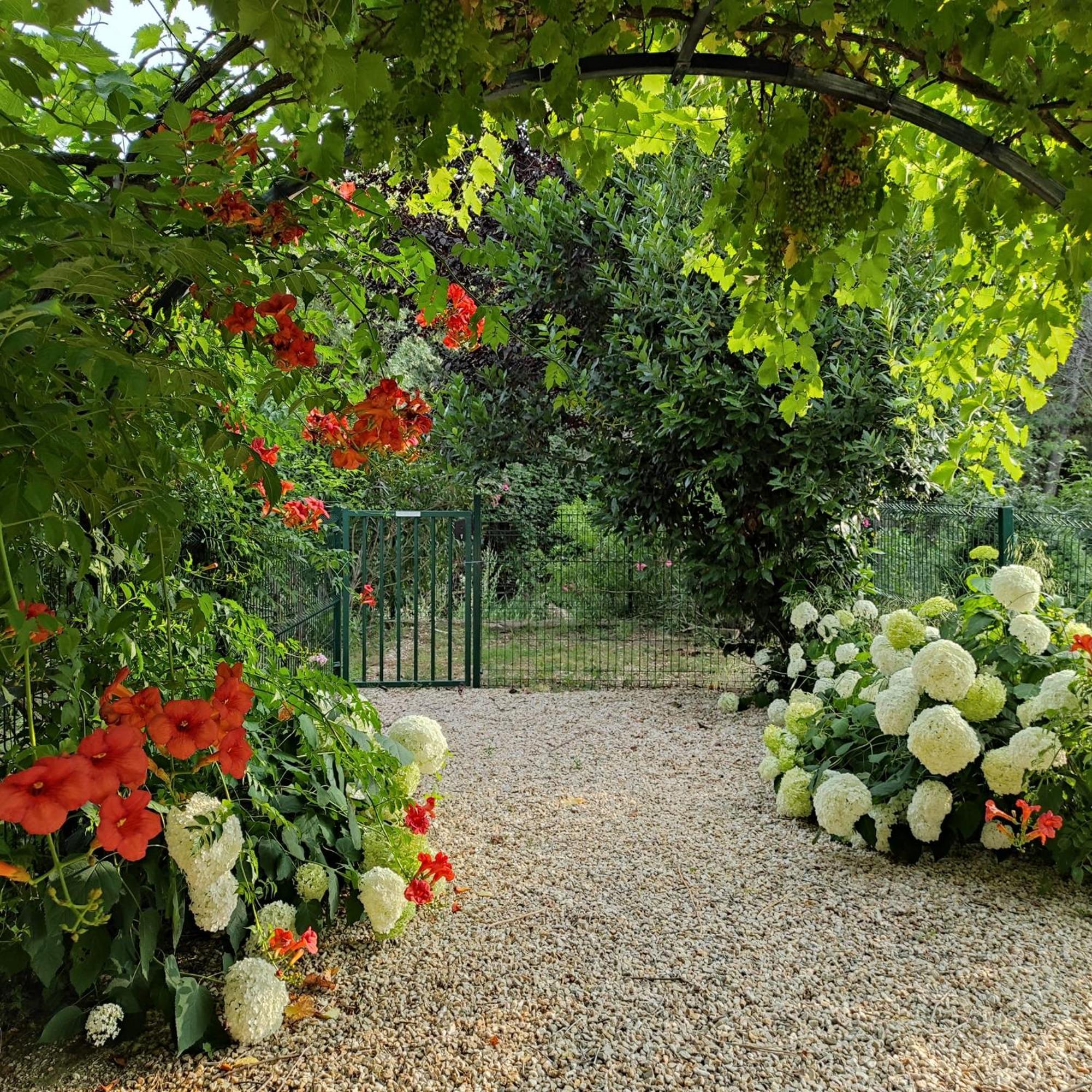 Villa Angel - Spa Caunes-Minervois Екстериор снимка