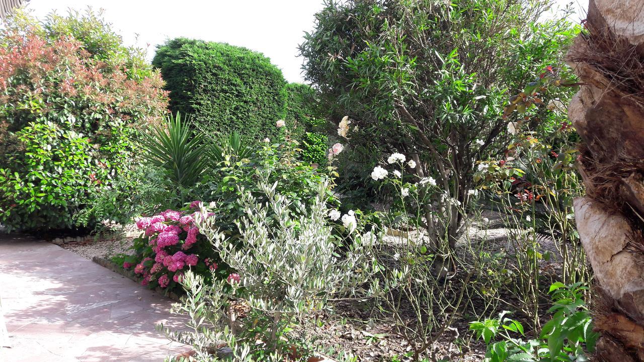 Villa Angel - Spa Caunes-Minervois Екстериор снимка