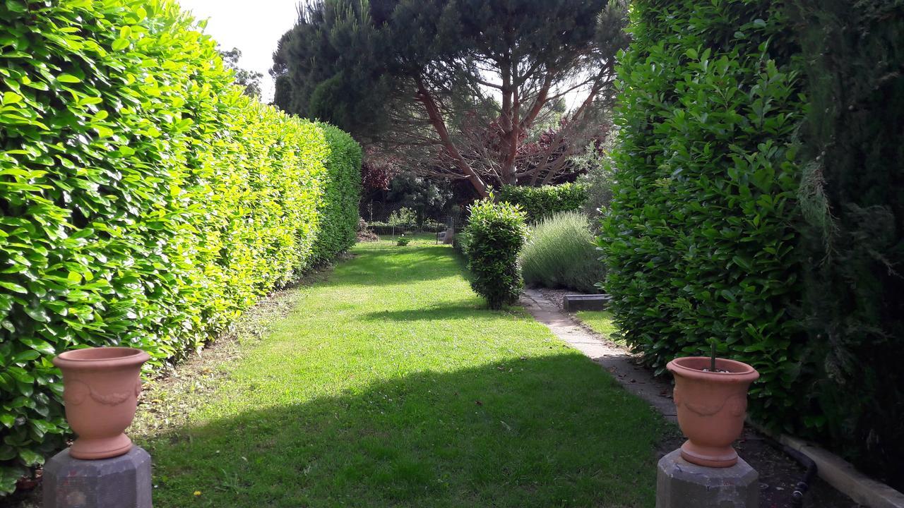 Villa Angel - Spa Caunes-Minervois Екстериор снимка