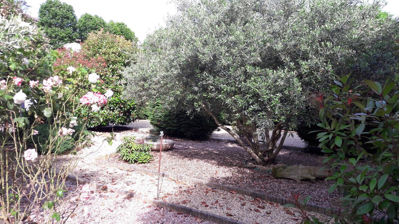 Villa Angel - Spa Caunes-Minervois Екстериор снимка